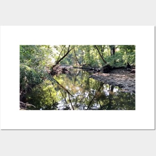 Creek Scenery Landscape Photograph of Beautiful Indian Creek Posters and Art